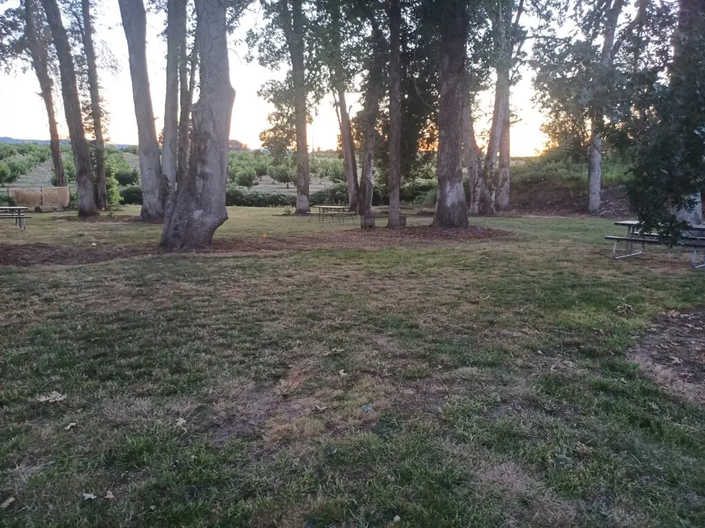 Private Events Pavilion at Bells Orchard, Beaverton, Oregon