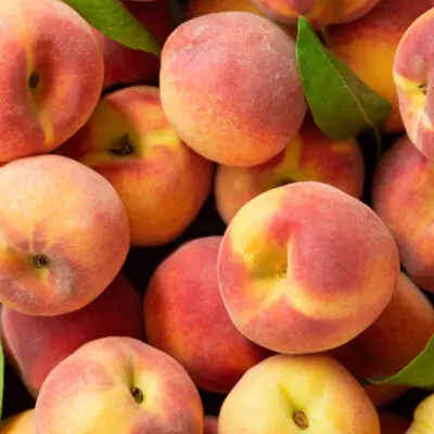Fresh peaches, apples, pears, fruit, local Beaverton u-pick