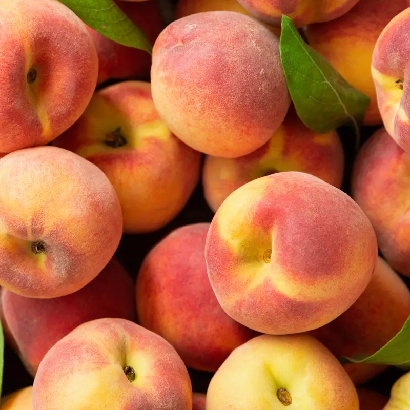 Fresh peaches, apples, pears, fruit, local Beaverton u-pick