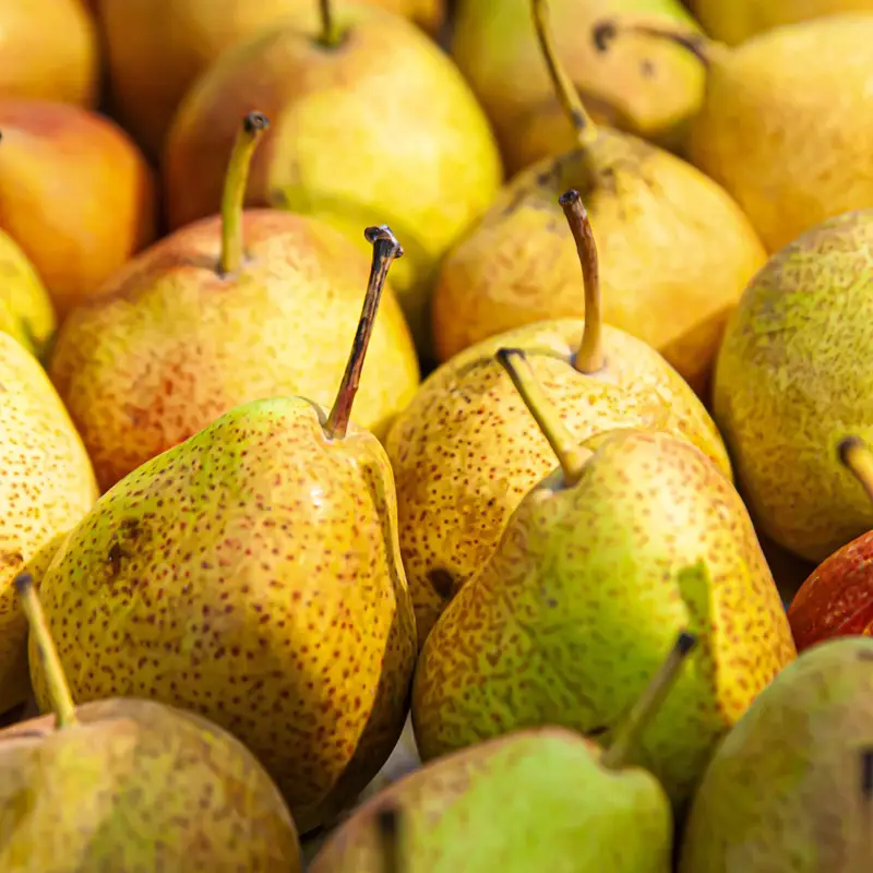 Fresh peaches, apples, pears, fruit, local Beaverton u-pick